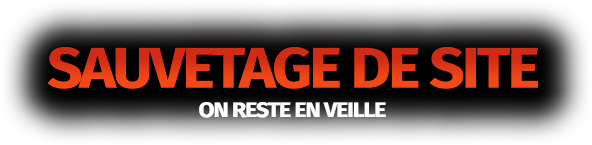 Maintenance de site web